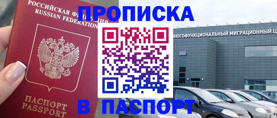 прописка для школы в Шатуре